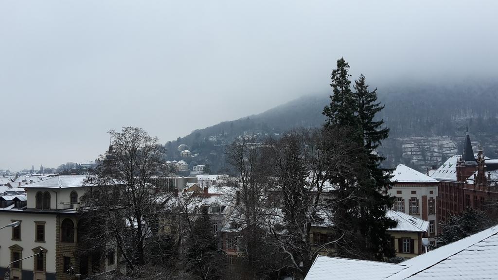 Altstadtblick Heidelberg Exterior photo
